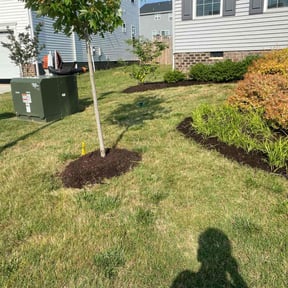 Flower Bed Weeding by LSLTDallas/FortWorthTruGreen reviewed on August 29, 2024