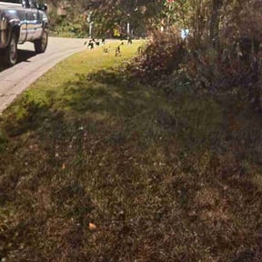 Leaf Removal by Snd general contracting reviewed on July 1, 2022
