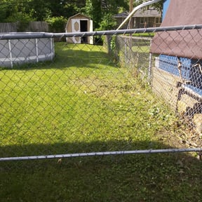 Cleanups by Green Leaf Lawn Service reviewed on November 12, 2024