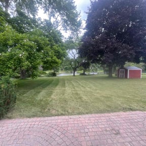 Bush Trimming by Text 2 Cut Lawn Care LLC reviewed on May 11, 2025