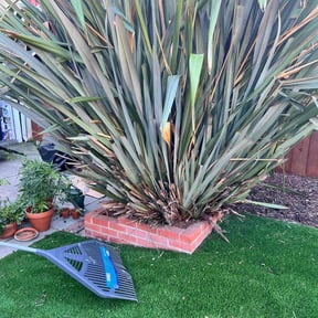 Leaf Removal by Lagger Properties reviewed on July 18, 2022