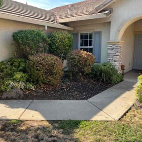 Bush Trimming by Indlawnservice reviewed on May 29, 2021