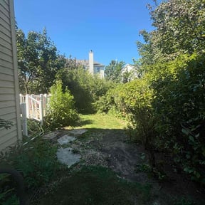 Bush Trimming by Lake Area Landscaping reviewed on November 15, 2024