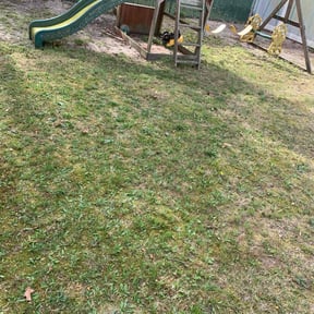 Leaf Removal by Demetrieus Bennett reviewed on May 9, 2022