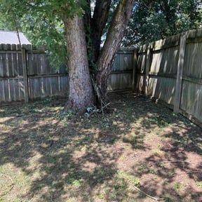 Cleanups by Ready Set Mow reviewed on July 10, 2025