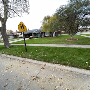 Leaf Removal by Adams Lawn & Outdoor reviewed on May 24, 2022