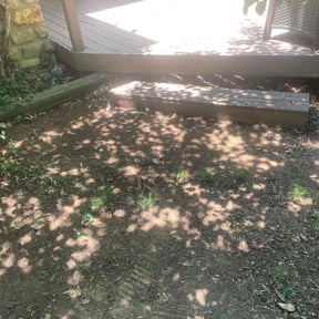 Leaf Removal by O'Shields Parks Mowing and Cleaning reviewed on August 13, 2025