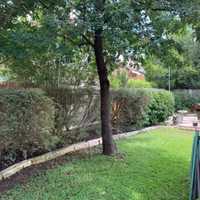 Bush Trimming by Grasman LLC reviewed on May 5, 2025