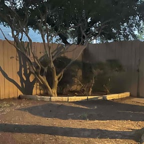 Leaf Removal by Trevor Hall reviewed on April 19, 2022