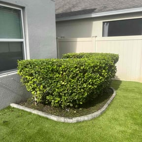 Flower Bed Weeding by M & J Lawn Care Service reviewed on May 18, 2022