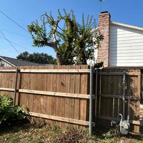 Landscaping by WashWorldMobile reviewed on June 26, 2022