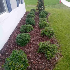 Weeding by Casper Lawncare reviewed on June 22, 2024