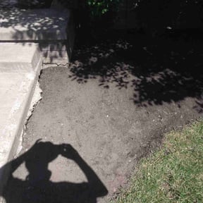 Flower Bed Weeding by Livery Services LTD, llc reviewed on August 2, 2022