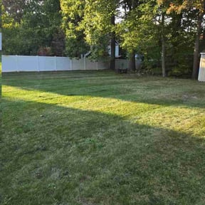 Leaf Removal by Carolina dogwood lawn care and landscaping reviewed on June 4, 2022