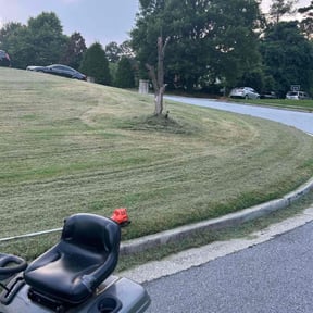 Bush Trimming by Early Bird Lawn Care LLC reviewed on May 24, 2022