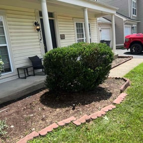 Bush Trimming by C.A.G Lawncare reviewed on April 4, 2025