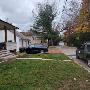 Leaf Removal by Texas landscape reviewed on September 8, 2021