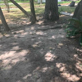 Cleanups by R&R (Reasonable and Reliable) lawn services. reviewed on June 2, 2025