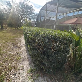Bush Trimming by Supaman lawncare reviewed on March 30, 2022