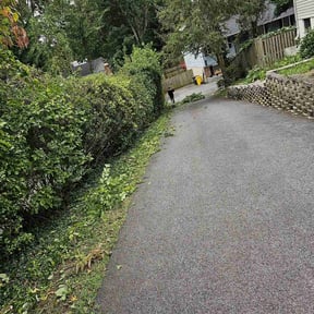 Bush Trimming by Neal’s A-1 Lawn care reviewed on June 20, 2022