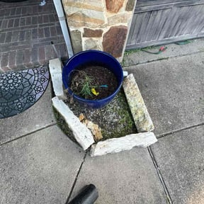 Flower Bed Weeding by J&J Mowing reviewed on July 30, 2020