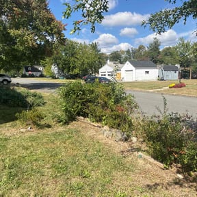 Bush Trimming by Ozzys lawn care reviewed on July 23, 2021