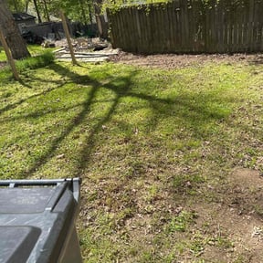 Leaf Removal by Clean Cut Lawn Service reviewed on June 10, 2022