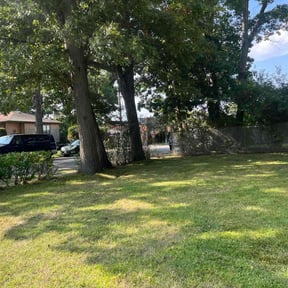 Leaf Removal by Lego Lawn Services reviewed on June 10, 2022
