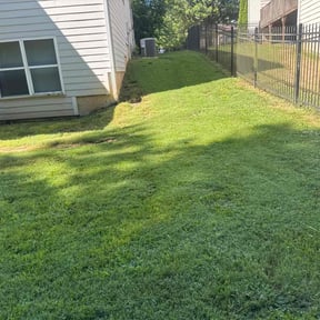 Bush Trimming by Q&R landscaping solutions reviewed on June 27, 2022
