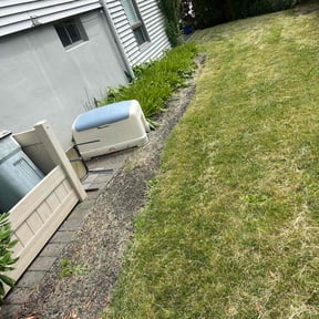 Bush Trimming by Fortanel lanscaping reviewed on May 24, 2022