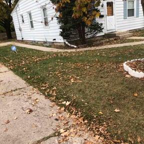Bush Trimming by Blossom Lawn Care reviewed on May 26, 2025