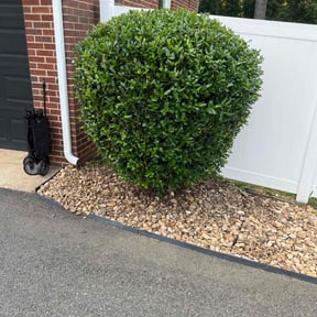 Bush Trimming by Stephenson's Landscaping reviewed on August 3, 2022