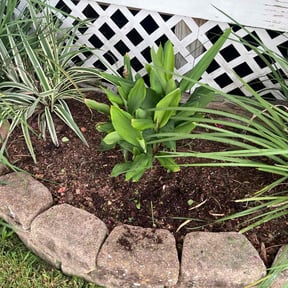 Flower Bed Weeding by Got Dat Lawn Services reviewed on August 14, 2020