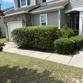 Bush Trimming by Medina's maintenance reviewed on July 11, 2022