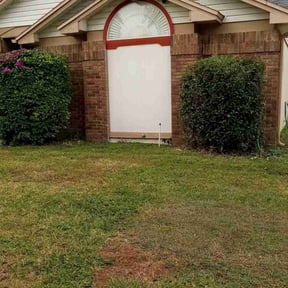 Bush Trimming by Tony's Lawn care reviewed on July 15, 2022