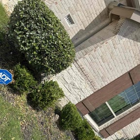 Bush Trimming by Troy's Lawn Care reviewed on June 30, 2022