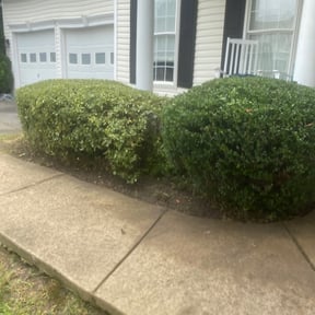 Bush Trimming by Grasman LLC reviewed on March 30, 2022