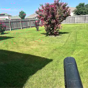 Cleanups by The Lawn Care Guy reviewed on October 19, 2021