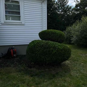 Bush Trimming by Ndebay Landscapping reviewed on May 17, 2022
