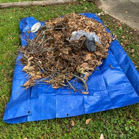 Cleanups by Jesse lawn care reviewed on July 7, 2022