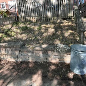 Leaf Removal by Ziolkowski Lawcare reviewed on October 12, 2022