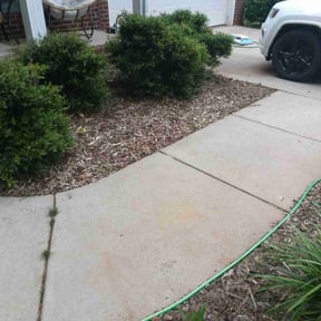 Flower Bed Weeding by Cutting up Lawn and Tree Care reviewed on August 20, 2024