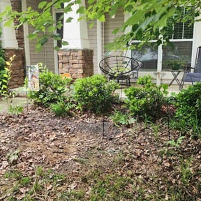 Cleanups by Alfaro’s Lawncare reviewed on August 1, 2020