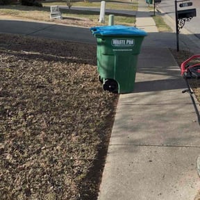 Cleanups by Loveladys Lawn Care reviewed on November 23, 2024