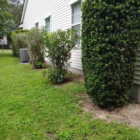 Bush Trimming by Lilly’s mowing services reviewed on October 11, 2022