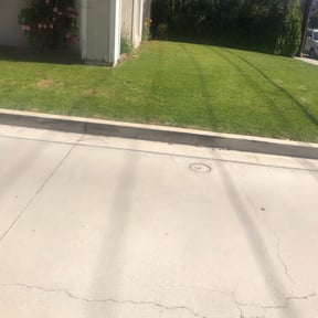 Leaf Removal by Lawnspire reviewed on June 29, 2022