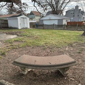 Leaf Removal by CT Mowing reviewed on July 26, 2022