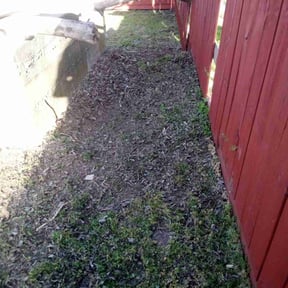 Cleanups by Gary Evans Lawn and Tree Service reviewed on August 13, 2021