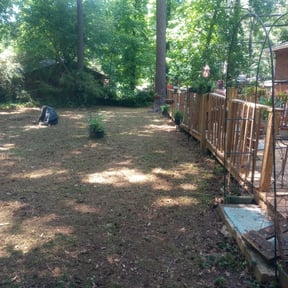 Leaf Removal by Bushes to Beauty Lawn service reviewed on December 29, 2021