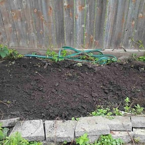 Cleanups by Safer Lawn Care reviewed on October 30, 2022